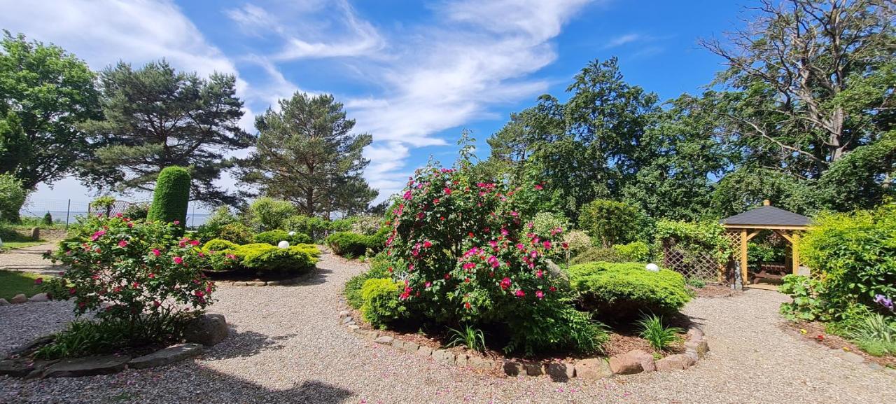 Dom Na Bukowym Wzgorzu Bed & Breakfast Wicko  Exterior foto